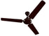 Bajaj Edge 1200 mm Ceiling Fan Brown