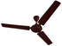 Bajaj Tezz 1200 mm Ceiling Fan Brown