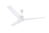 Usha Racer 1200mm High Speed Ceiling Fan Rich White