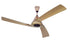 Bajaj Euro NXG Anti Germ BBD 1200 mm Ceiling Fan Topaz Gold