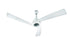 Bajaj Euro NXG Anti Germ BBD 1200 mm Ceiling Fan White